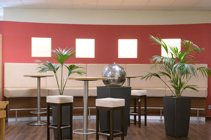 qSkills café & lounge area with seating area, bar tables, plants, and stainless steel spherical garden fountain with water for relaxation.