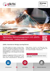 NetApp Flyer