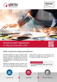 NetApp Flyer