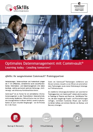 Commvault Flyer