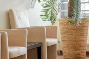 Sessel und Pflanzen in der Lounge