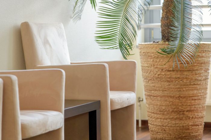 Sessel und Pflanzen in der Lounge